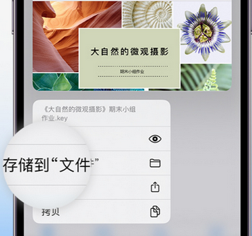 交城apple维修中心分享iPhone文件应用中存储和找到下载文件