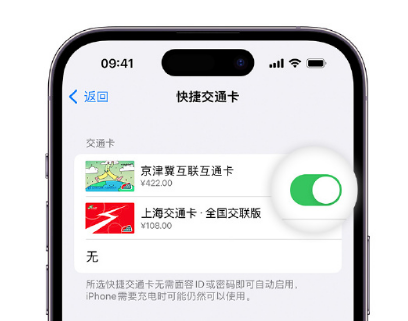 交城apple维修点分享iPhone上更换Apple Pay快捷交通卡手绘卡面 