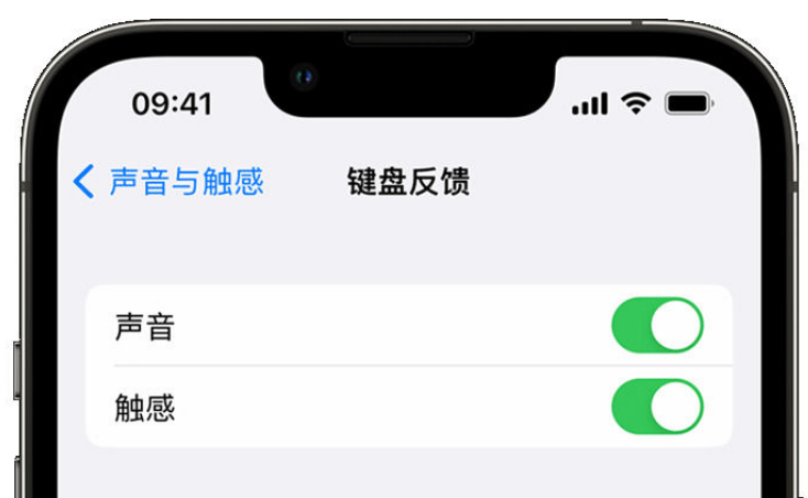 交城苹果手机维修分享iPhone 14触感键盘使用方法 