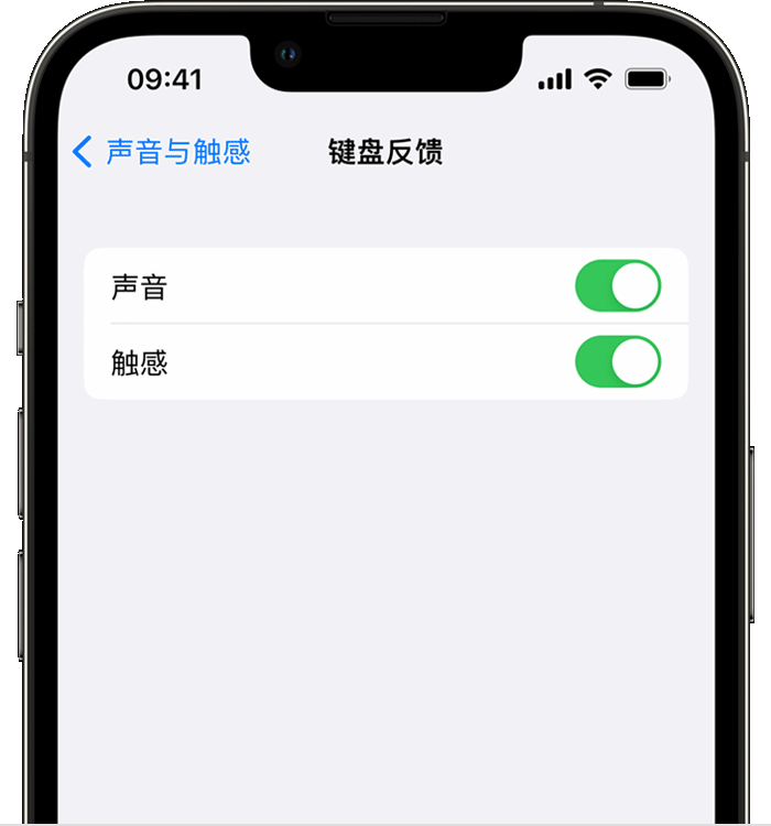 交城苹果14维修店分享如何在 iPhone 14 机型中使用触感键盘 