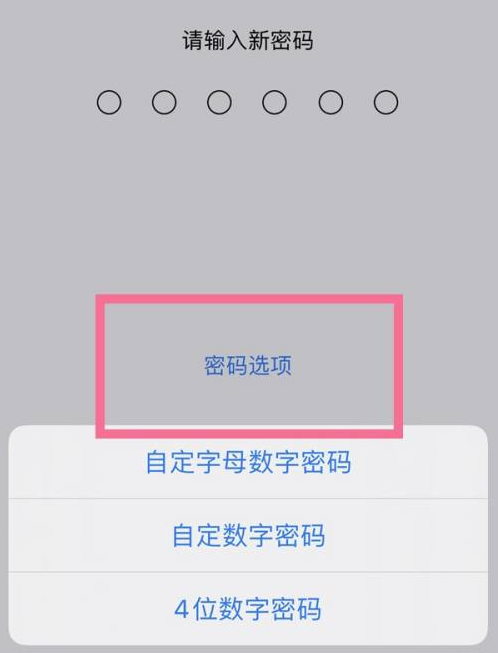 交城苹果14维修分享iPhone 14plus设置密码的方法 