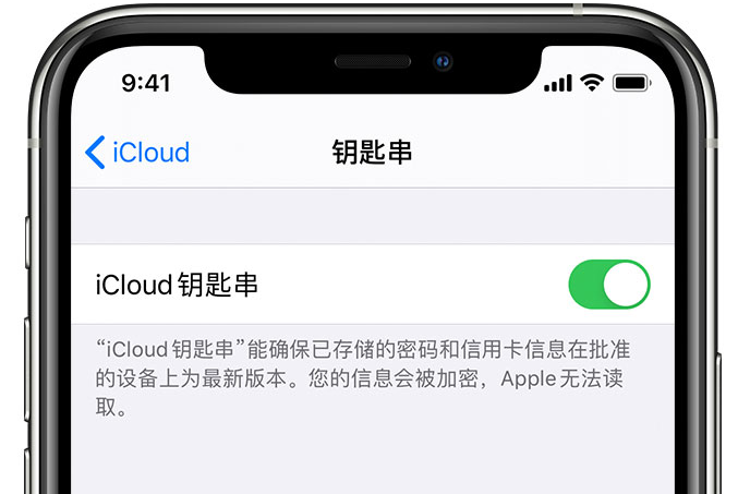 交城苹果手机维修分享在 iPhone 上开启 iCloud 钥匙串之后会储存哪些信息 