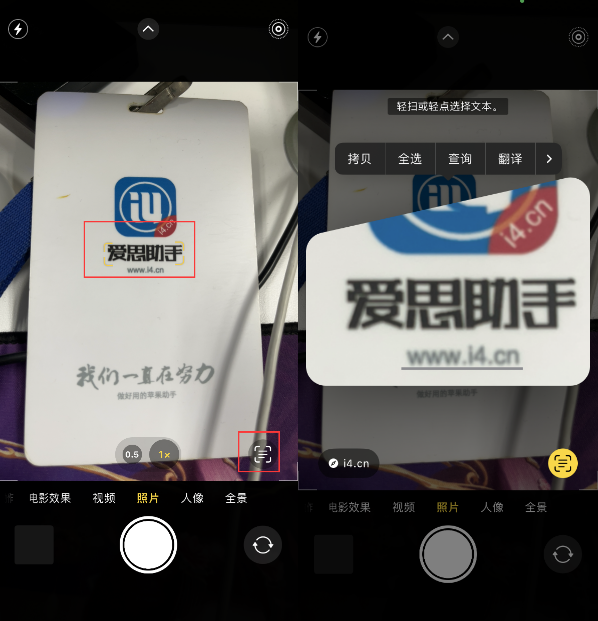 交城苹果手机维修分享升级iOS 16后如何通过相机翻译文本 