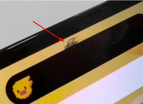 交城苹果14维修分享iPhone 14 Pro Max灵动岛怎么养宠物 