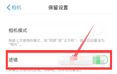 交城苹果13维修分享iPhone13拍照有绿点是怎么回事 