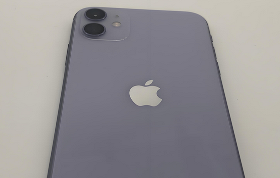 交城苹果11系统维修分享iPhone11手机系统崩溃无法开机如何解决 